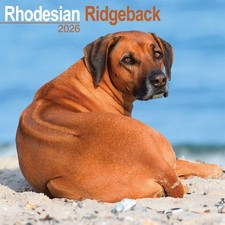 Rhodesian Ridgeback Calendar