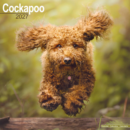 Cockapoo 2027 calendar - |, dog