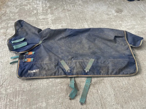 Shires tempest 4ft9 - , 100g