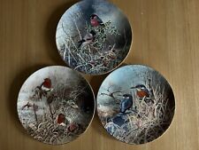 Coalport Frosty Mornings Collection Kingfisher At Dawn Bullfinches Robin Redbrea