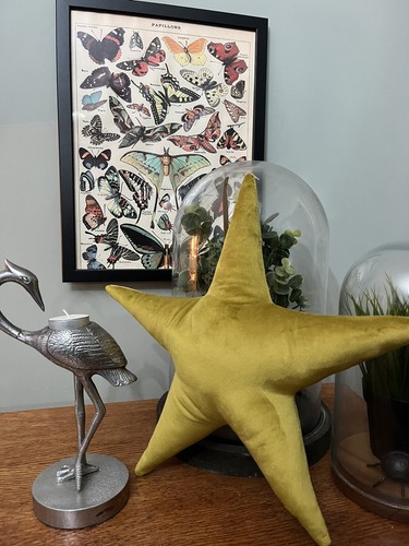Gold mustard velvet - mustard, star