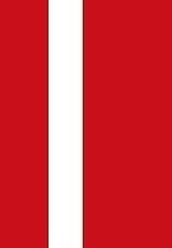 TWIN 4mm/2mm RED Detailing