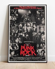 The Punk Rock Movie Repro