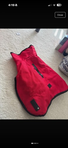 Small dog coat - dog,