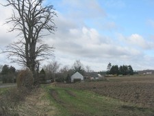 Photo A3 Smallholding at