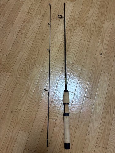 Fenwick eagle bass - eagle, rod