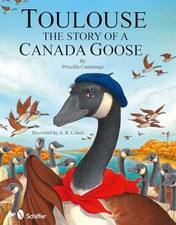 Toulouse : The Story of a