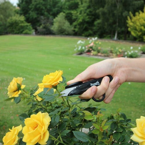 Wilkinson sword deadheading - wilkinson,
