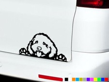 COCKAPOO CAR STICKERS DECALS
