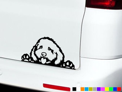 Cockapoo car stickers - car, decals