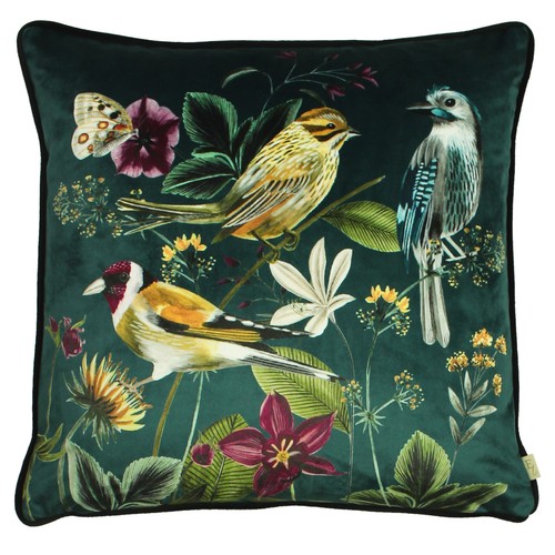 Evans lichfield midnight - evans,