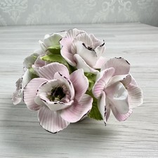 Rare Aristocrat English Bone