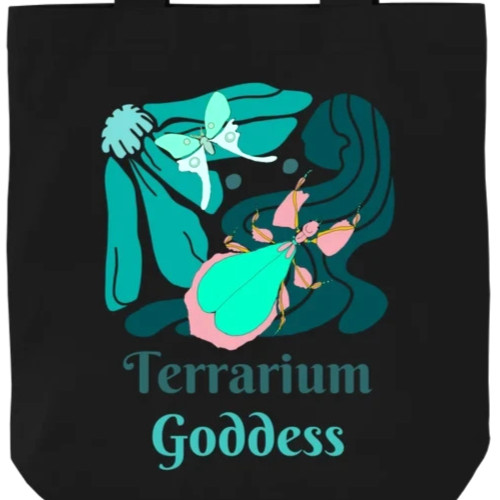 Leaf insect terrarium goddess - terrarium,