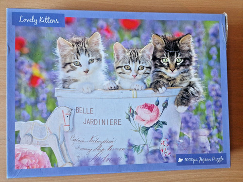 Lovely kittens innovakids - lovely,
