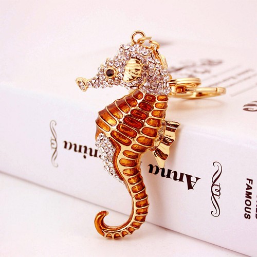 Seahorse sealife animals - seahorse,