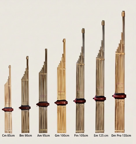 Pro thai khaen - pro, bamboo