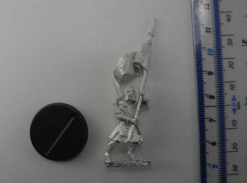 Minas tirith banner bearer - minas,
