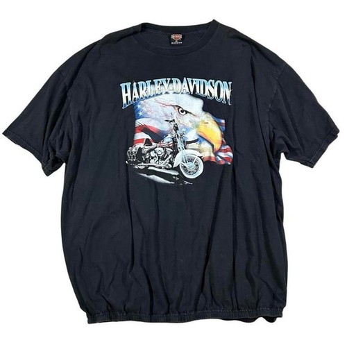 Vintage harley davidson - vintage, 04