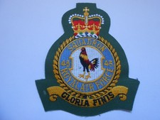 43  SQUADRON    ERII    Royal