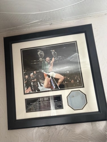 Ufc 205 framed octogon canvas - ufc,