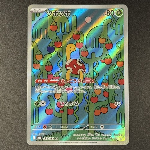 Shuckle 064 063 japanese - ar,