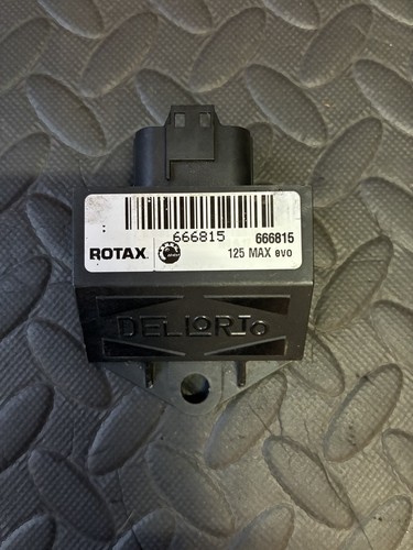 Rotax max 125 evo - evo, ecu
