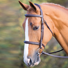 Shires Salisbury Fairford