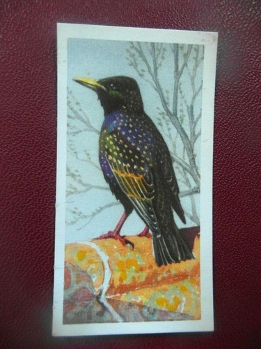 Brooke bond original - , 1957