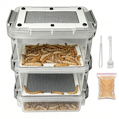 Mealworm breeding kit for - breeding,