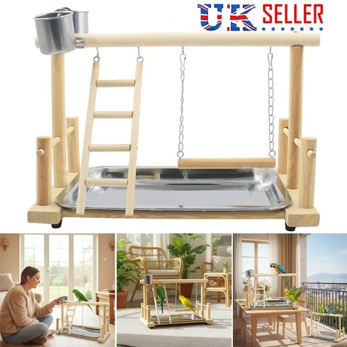 Parrot playstand bird plays - playstand,