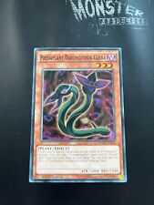 YUGIOH PREDAPLANT DARLINGTONIA COBRA COMMON MACR-EN010 MIXED EDITIONS