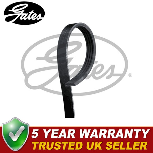 Gates ribbed belts fits - v-ribbed,