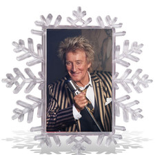Rod Stewart Christmas Tree