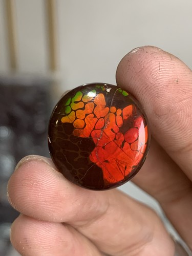 Stunning ethiopian flashy opal - ethiopian,