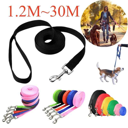 Extra long dog training lead - training,
