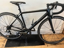 Focus Cayo Carbon Road Bike