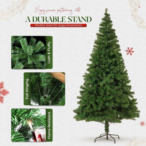 Christmas tree traditional - tree,