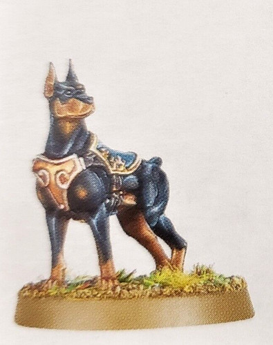 Canid dog doberman - canid,