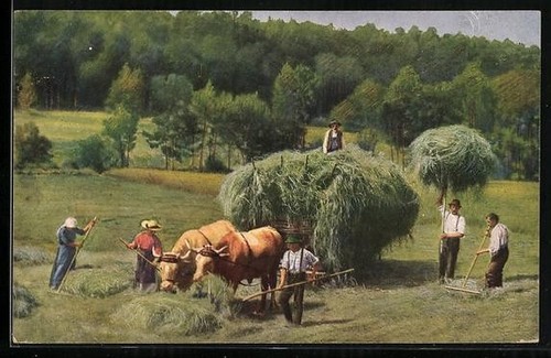 Postcard hay wagon with - postcard, of