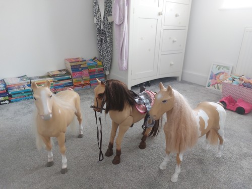Our generation horse bundle - generation,