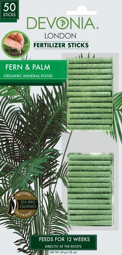 Fern palm plant food sticks - fern,