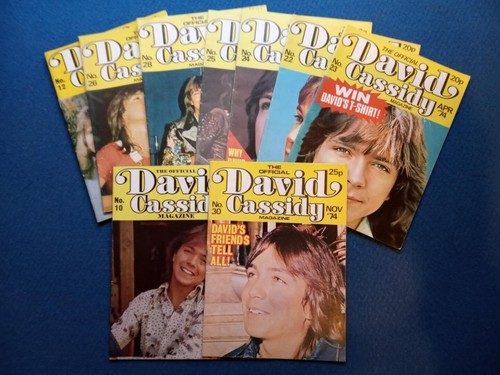 The official david cassidy - the,