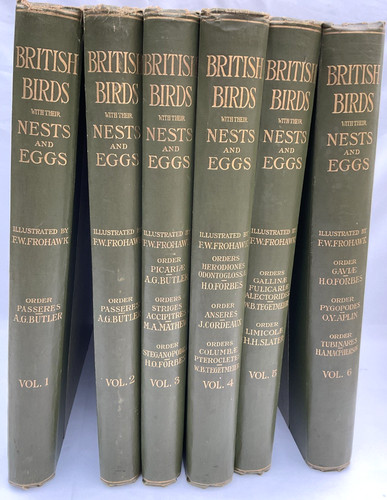 British birds nests eggs in - british, &