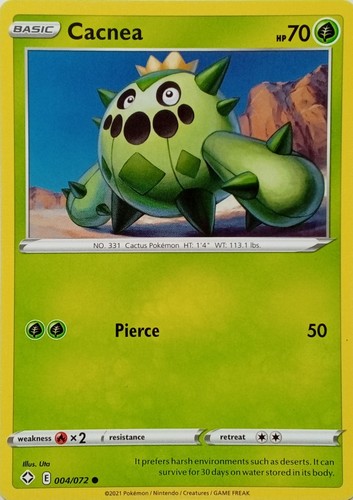 004 072 cacnea common - cacnea, |