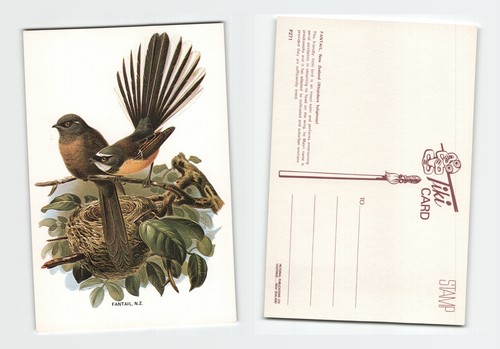 Postcard new zealand fantail - -,