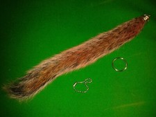 ONE RED GREY SQUIRREL XL LARGE