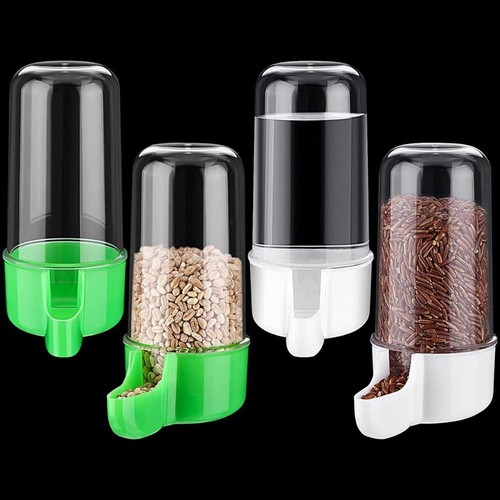 Animals drinking cup water - cup,