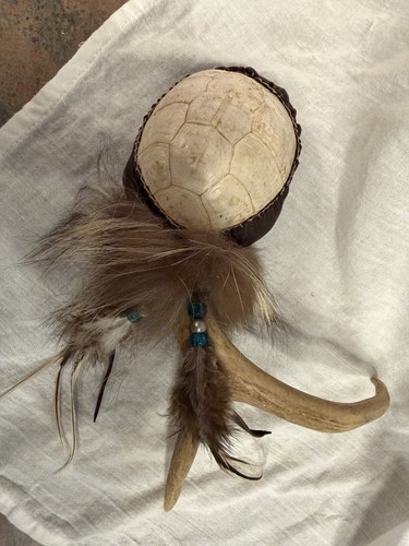 Native american - native,