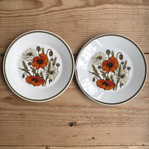 Set vintage retro - of,