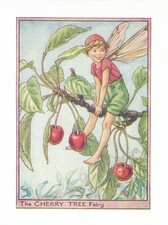 1940 Flower Fairy book print Original First Edition The Cherry Tree Fairy